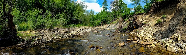 Free Muszyna River photo and picture