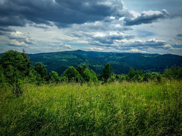 Free Muszyna Mountains photo and picture