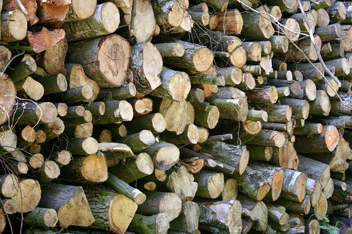 Bois, Des Forêts, Tas De Bois, Vert