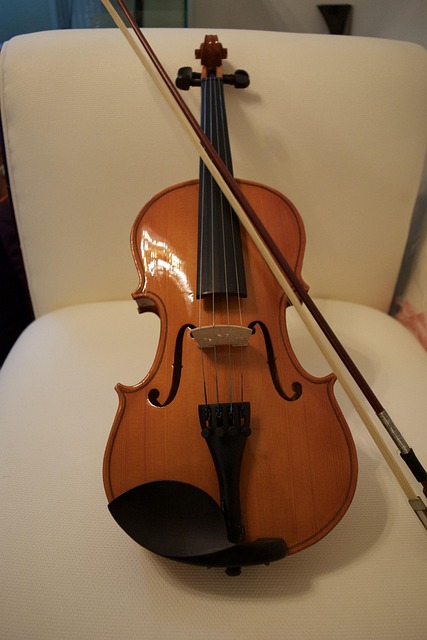 バイオリン, 弓, ストリング, 音楽, 楽器, 弦楽器, 音楽家, クラシック