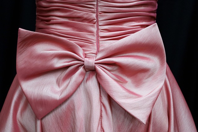 Free Bow Knot photo and picture