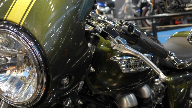 Free Motorcycle Triumph photo and picture