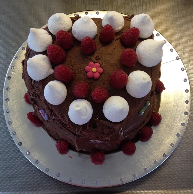 Free Cake Chocolate photo and picture