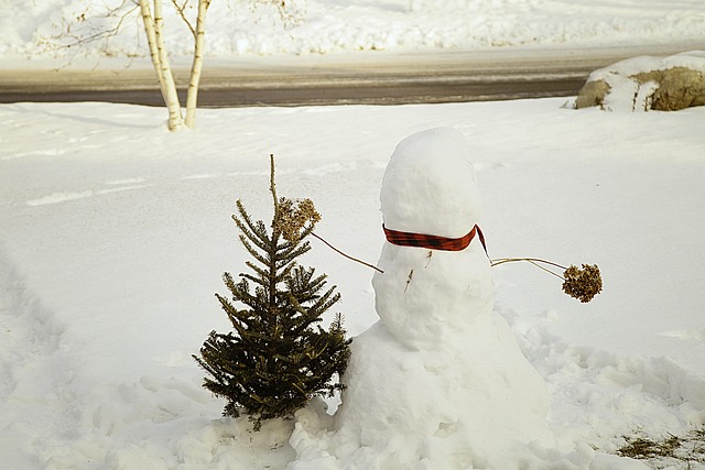 Schneemann, Schnee, Weiß, Winter