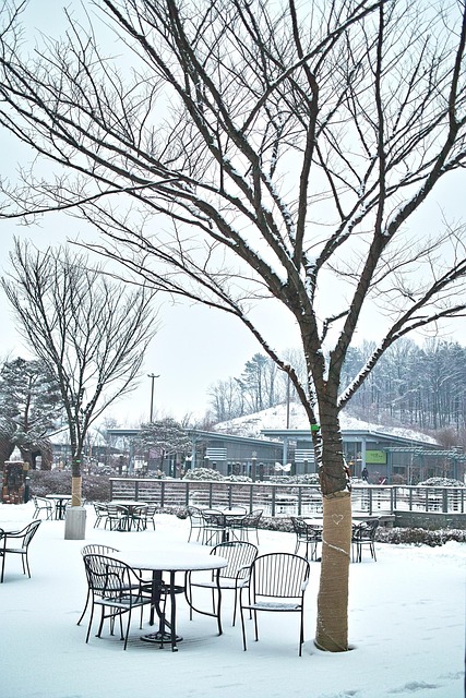 Free Rest Area Winter photo and picture
