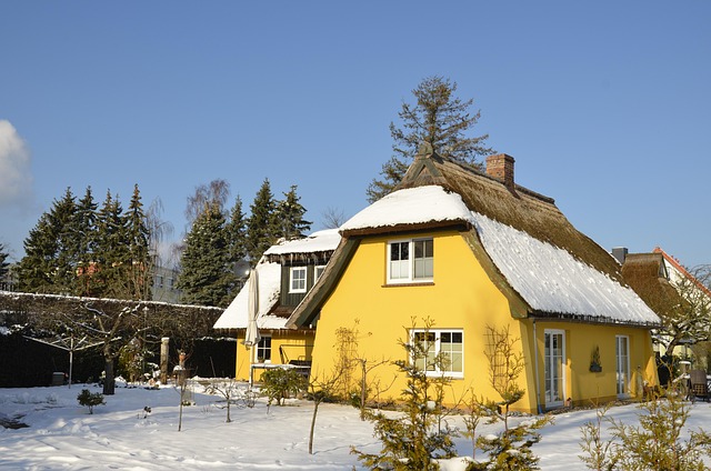 Free Zingst Baltic Sea photo and picture