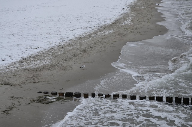 Free Zingst Baltic Sea photo and picture