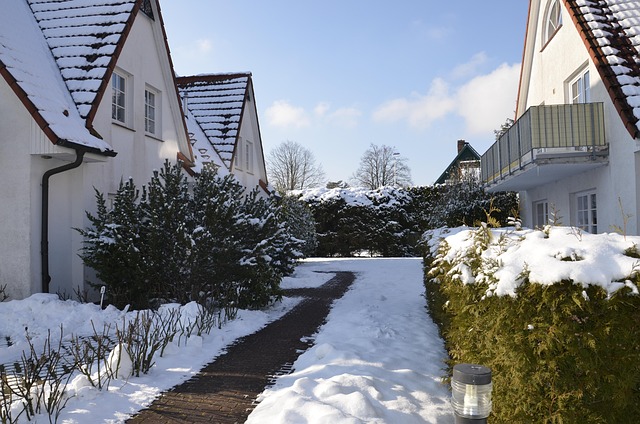 Free Zingst Baltic Sea photo and picture