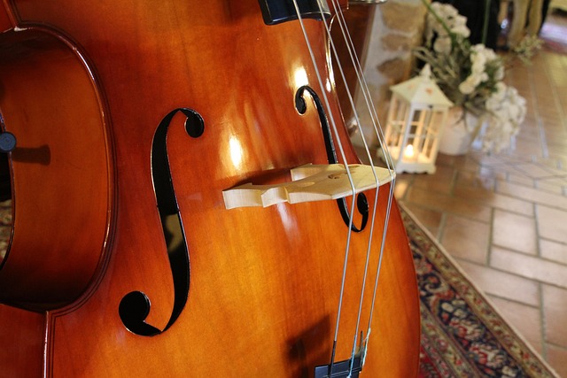 Free Double Bass Musical Instruments photo and picture