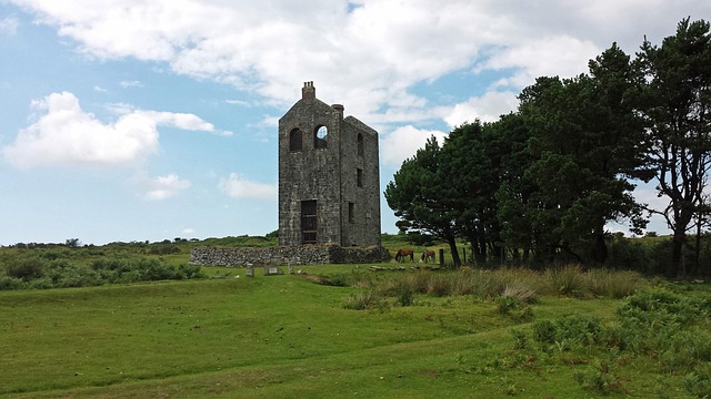 Free Tin Mine photo and picture