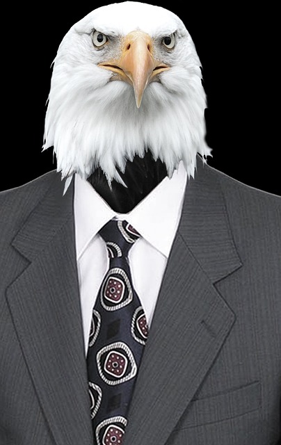 Cravată, Clasic, Costum, Cămaşă, Vultur