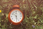grass, clock, time