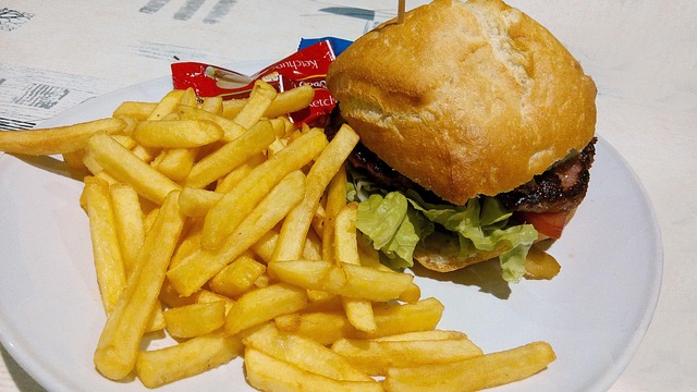 Free Burger Food photo and picture
