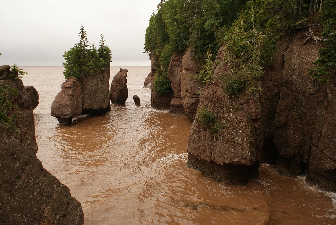 Hopewell Rocks New Brunswick Free Photo On Pixabay Pixabay Hopewell Rocks New Brunswick Free Photo On Pixabay Pixabay
