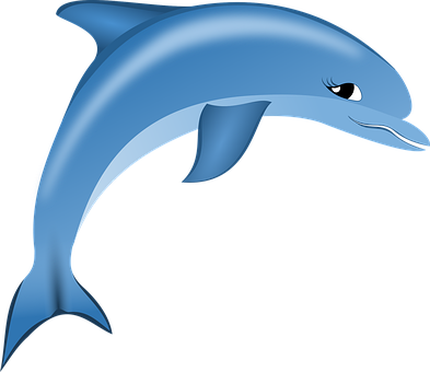 Delfin, Natur, Hav