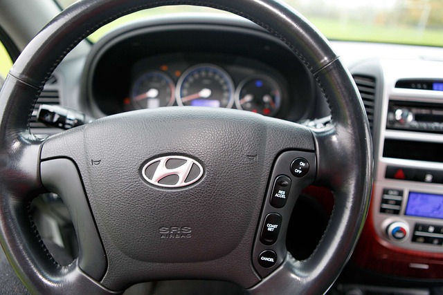 Free Hyundai Santa Fe photo and picture