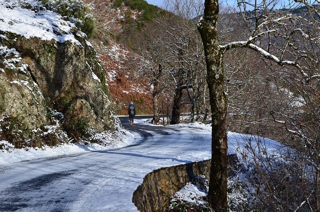 Bjerg, Sne, Natur, Walking, Vinter