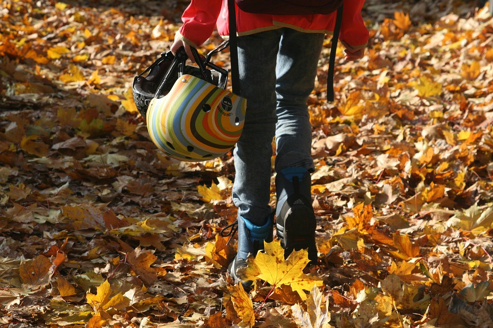 Autumn Leaves Child · Free photo on Pixabay