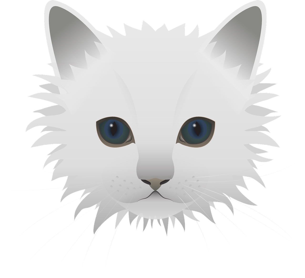 Free cat pet animal vector