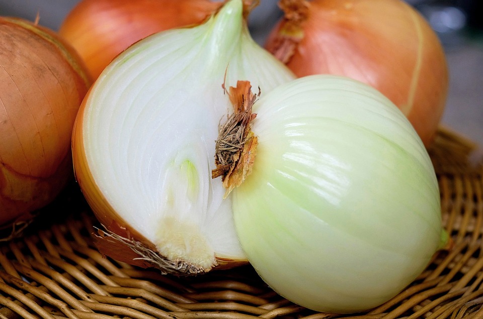 onion-1144620_960_720.jpg?ref=biglipsbudgetmama