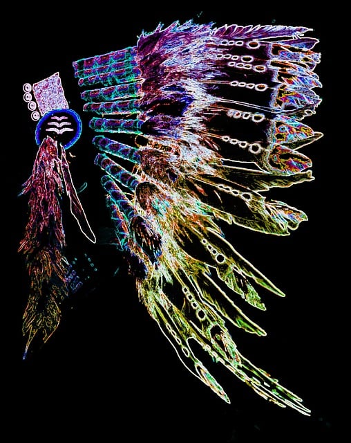 Free indian jewelry headdress multicoloured illustration