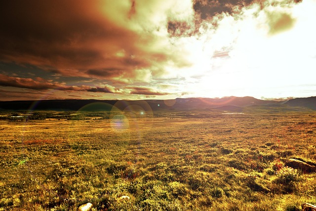 A Natureza Do, Natureza