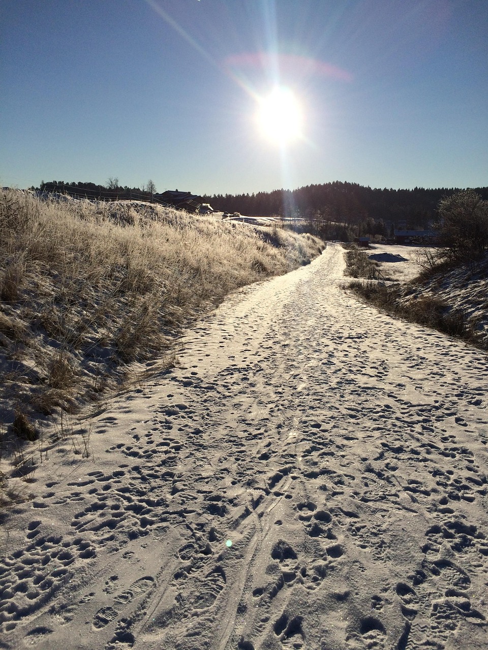 Free Winter Road photo and picture