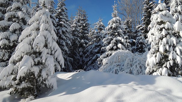 Free Slovakia High Tatras photo and picture