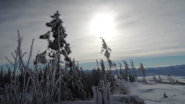 Free Slovakia High Tatras photo and picture