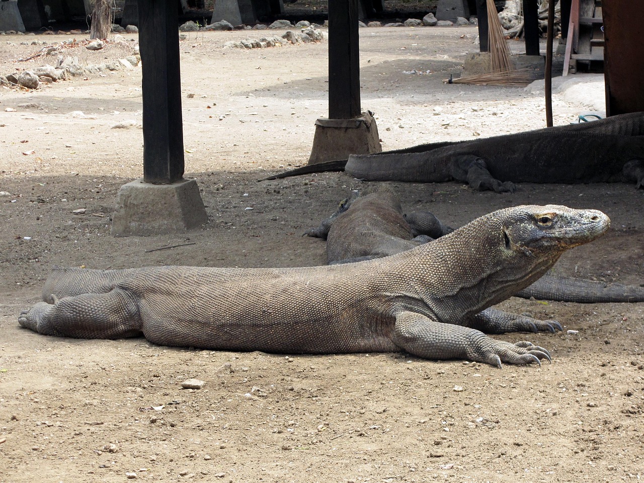 Indonesia - free online jigsaw puzzle photo