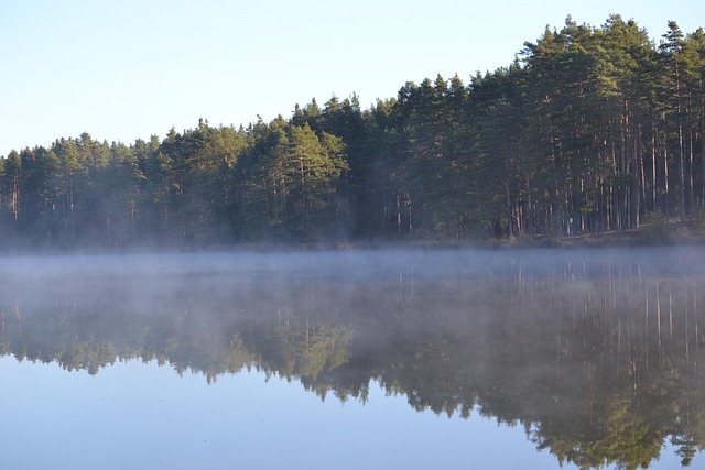 Free Nature Fog photo and picture