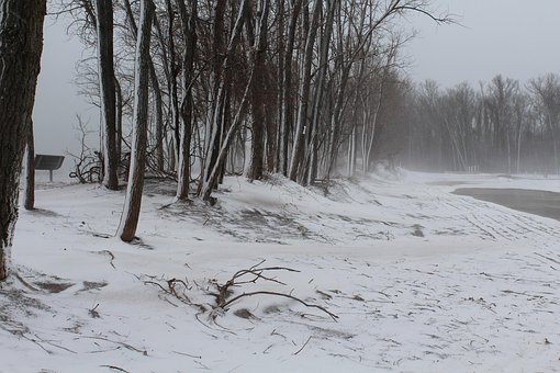 Фото картинки зима метель и снег Фото картинки зима метель и снег