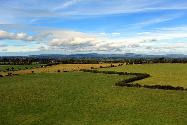 Free Green Expanse photo and picture