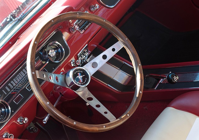 Free Mustang Car photo and picture