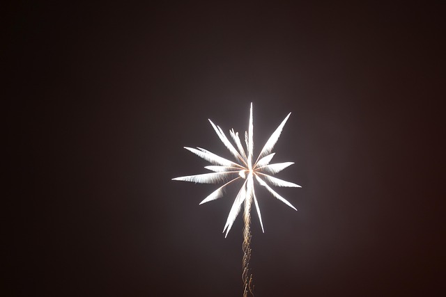 Free Fireworks Night photo and picture