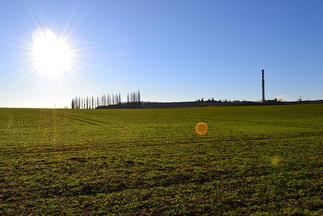 Free Field Sun photo and picture