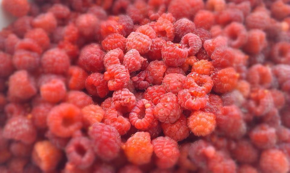 Raspberry Berry Reference Raspberry Berries Raspberries - Free photo on Pixabay - Pixabay