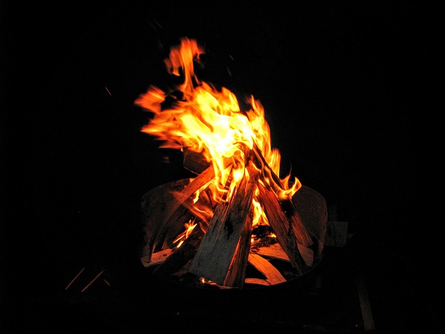 Free Fire Campfire photo and picture