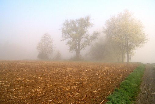 Free Fog Landscape photo and picture