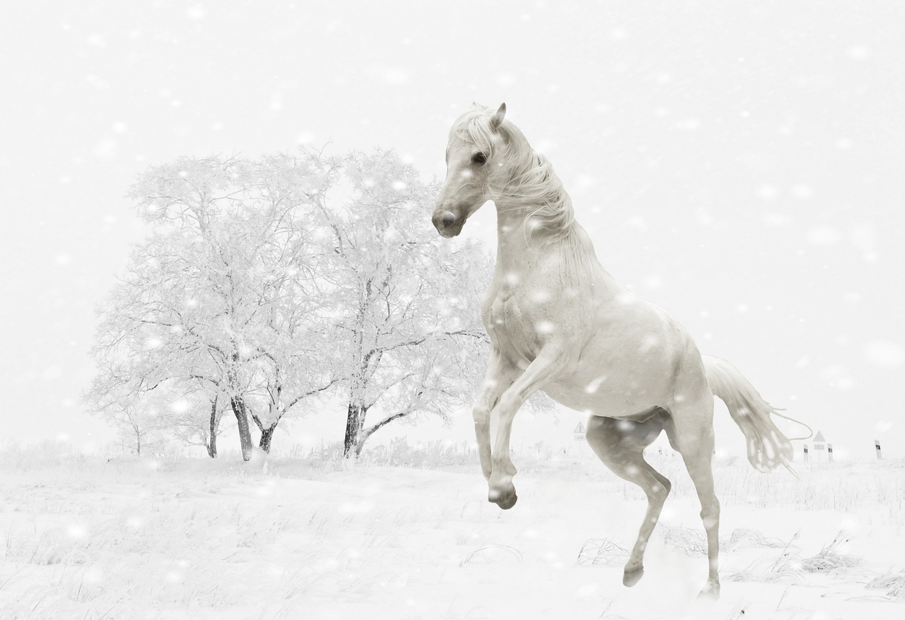 Winter - free online jigsaw puzzle photo