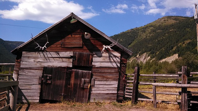 Free Shed Montana photo and picture