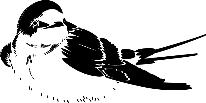 Free Peace Sit vector and picture