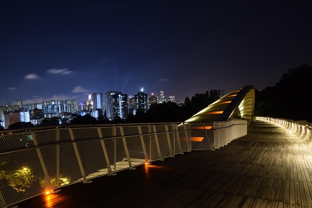 Free Singapore Henderson Wave Bridge photo and picture