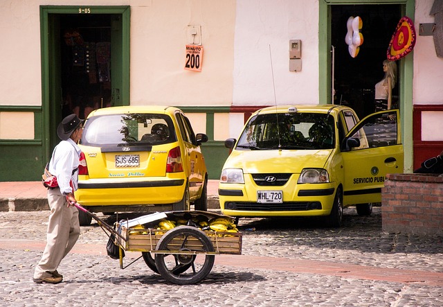 Warenkorb, Taxi, Santafe De Antioquia