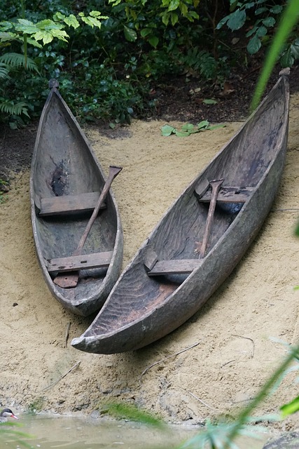 Een Boom, Waterscooters, Hout, Padel