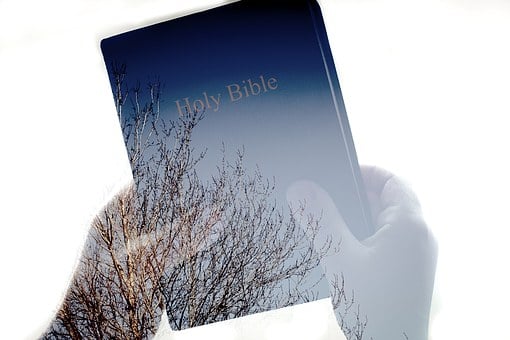 Bibel, Læsning, Bestil, Religion