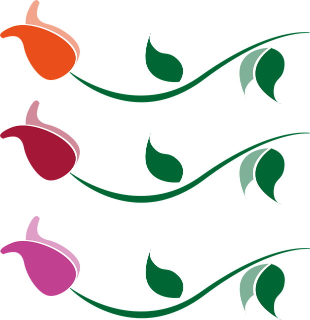 Download free HD stock image of Orange Red Free orange red wine red vector