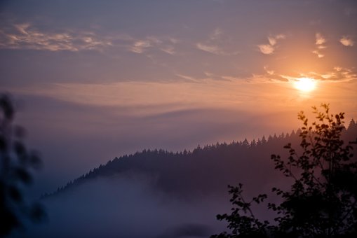 Ceaţă, Peisaj, Răsărit, Munţi, Forrest