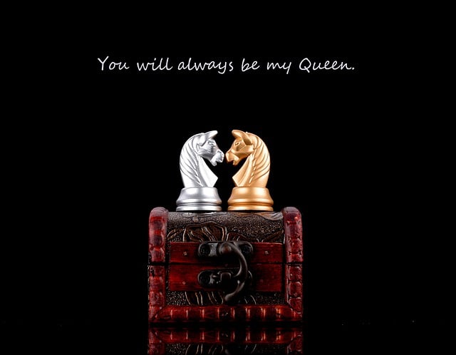 Free chess love story illustration