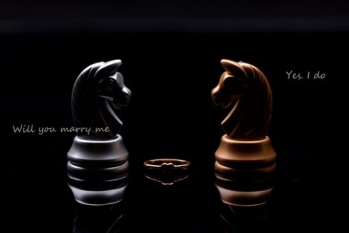 Free Chess Love photo and picture